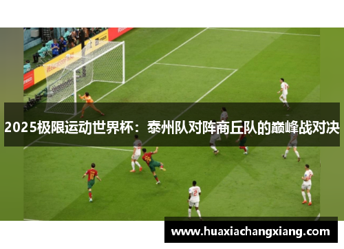 2025极限运动世界杯：泰州队对阵商丘队的巅峰战对决