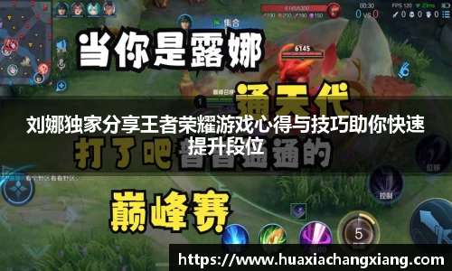  3377体育直播平台
